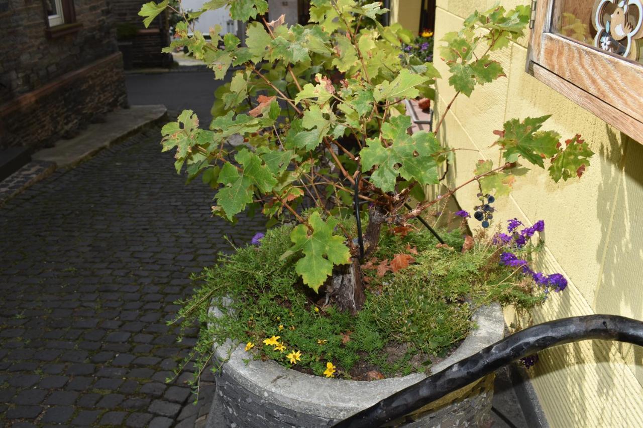 Landgasthof Zur Sonne 恩克里克 外观 照片